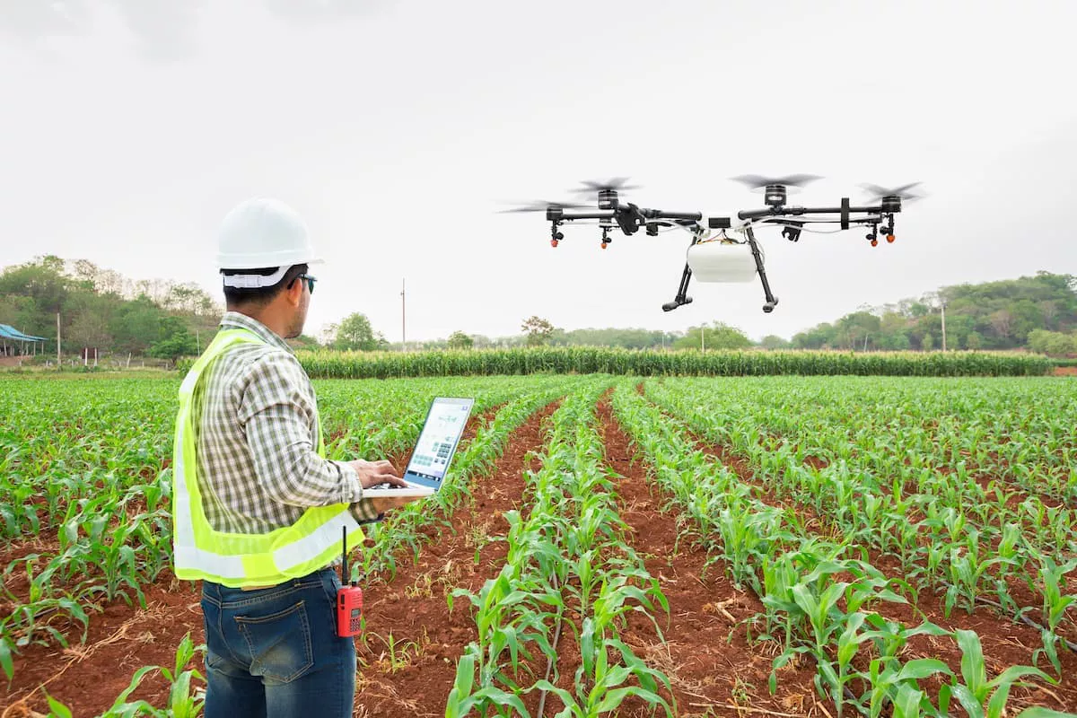 Validação de Tecnologias no Campo: Metodologia AgNest em Prática